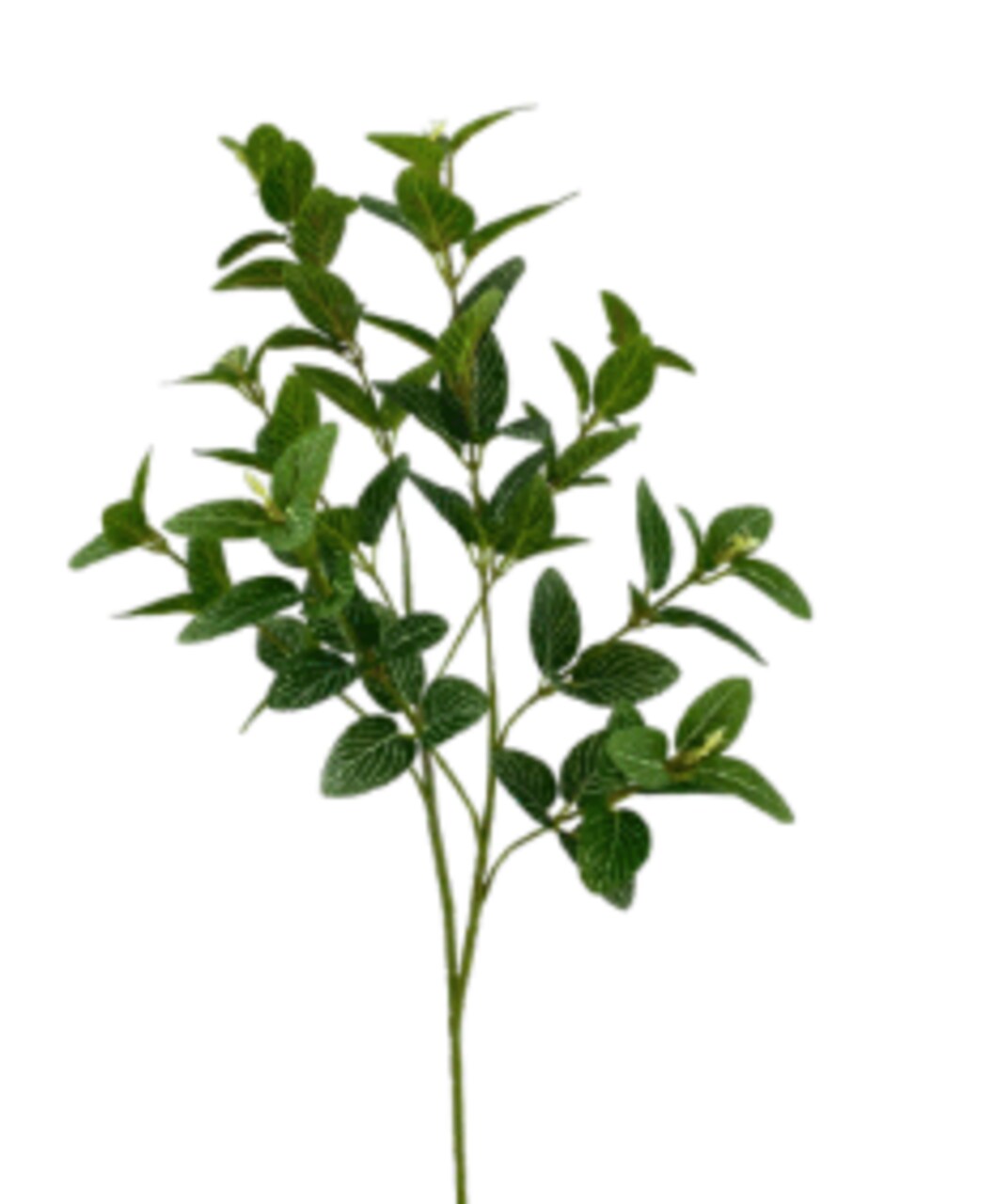 27" Faux Variegated Laurel Spray – Artificial Greenery Stem with 90 Leaves-13580GN
